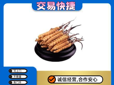 九江市武宁礼品回收散虫草.jpg